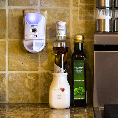 The Ghost in the Walls: Why Surface Sprays Fail to Stop Hidden Pests