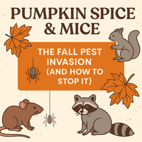 🍂 Pumpkin Spice & Mice: The Fall Pest Invasion (and How to Stop It)