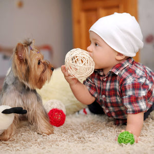 A child with a dog.