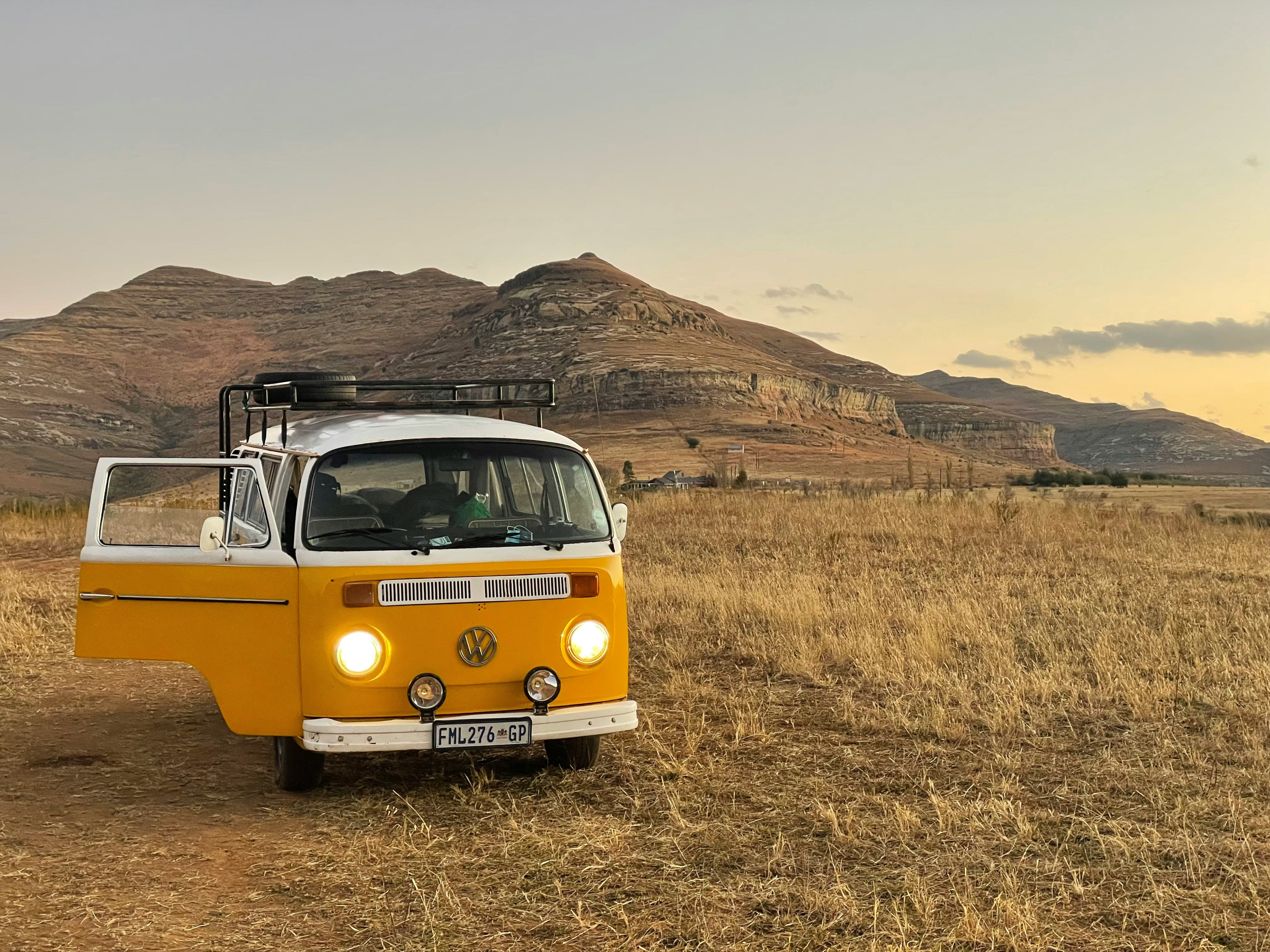 The Road is Calling (and the Pests are Waiting)