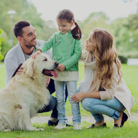 The science of sound waves.