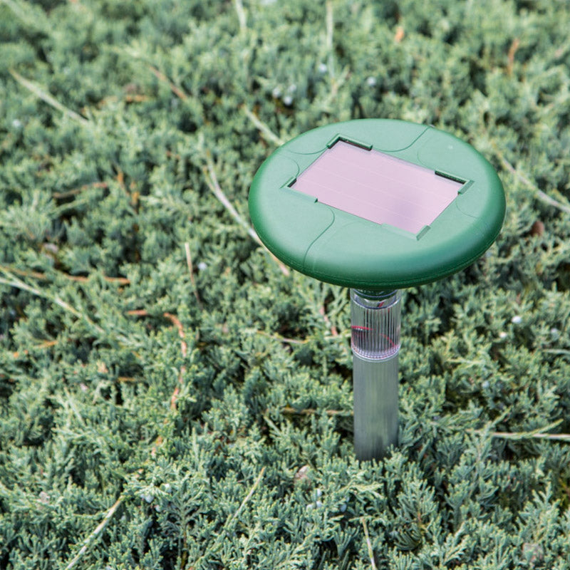 Solar SafeGuard™ – 3-Pack