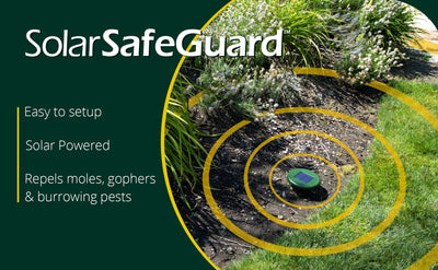 Solar SafeGuard™