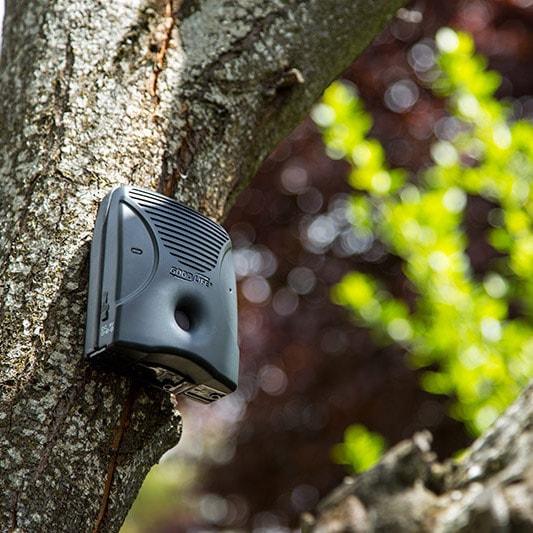 Dog Silencer MAX mounted to a tree for line of sight to a barking dog