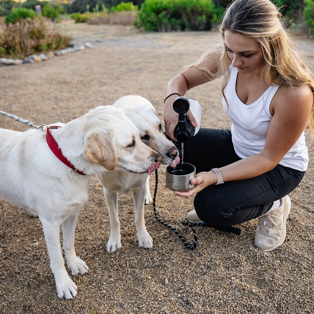 HydroPet Stainless Steel Dog Water Bottle with Dual Bowls (32 oz / 64 oz)