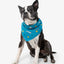 Insect Shield Dog Bandana
