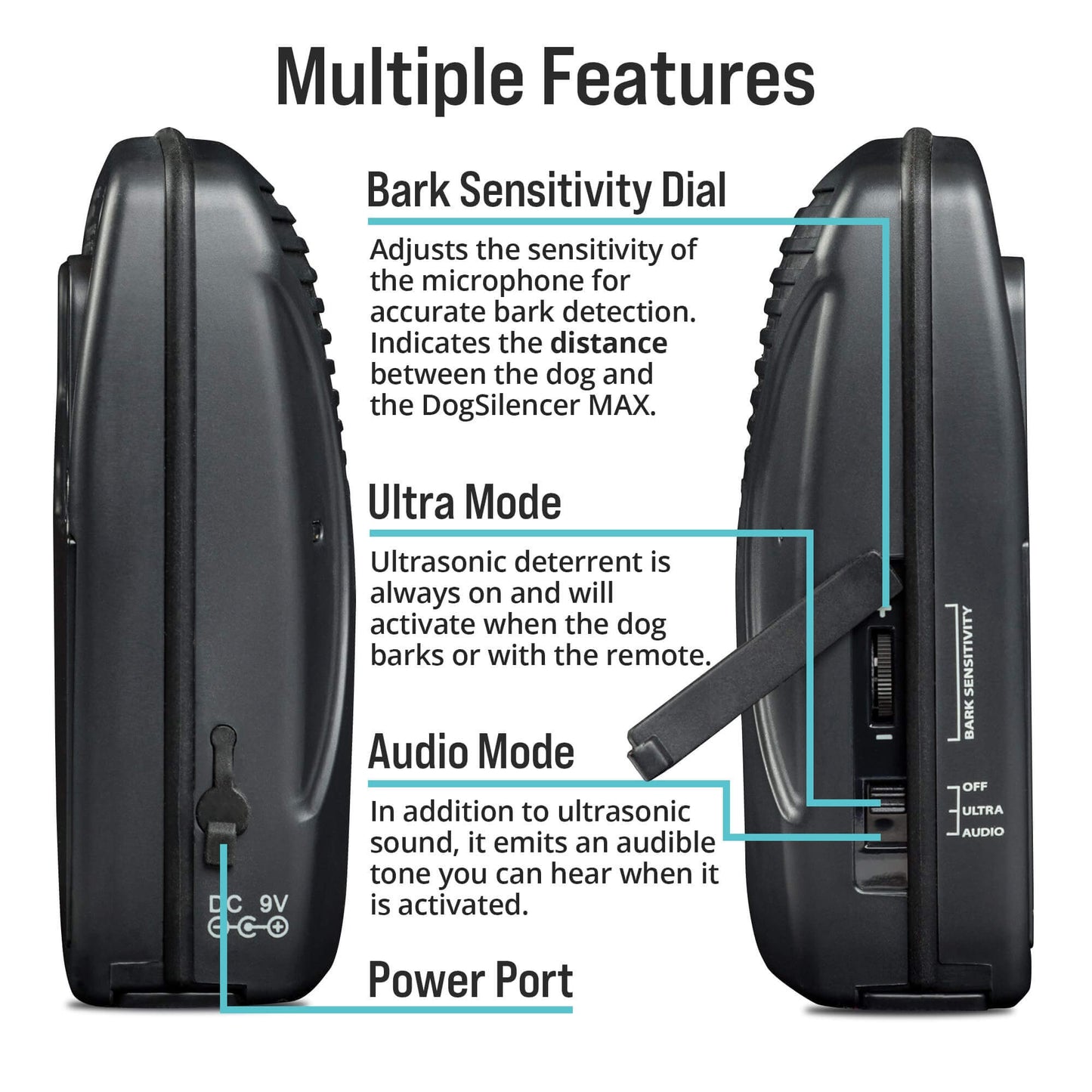 dsmax-both-sides-amz-labels-ext-min