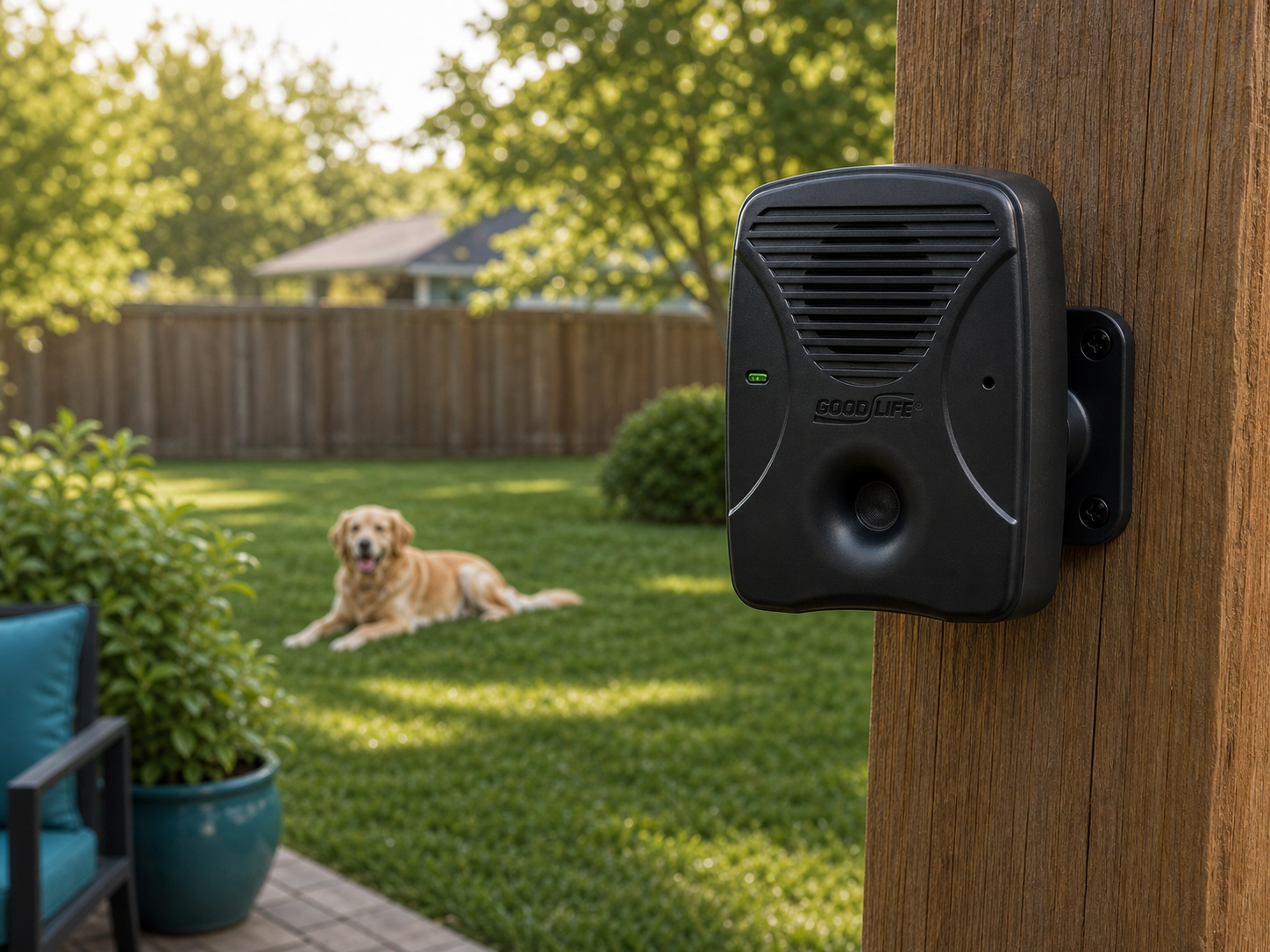 Dog Silencer MAX mounted outdoors with remote